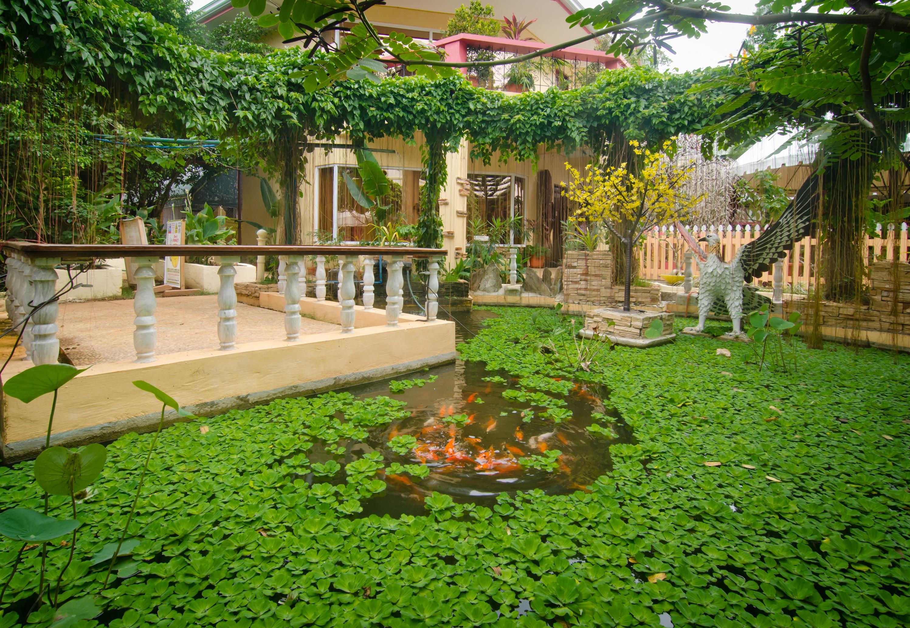 Deep Forest Garden Hotel Puerto Princesa Exterior foto